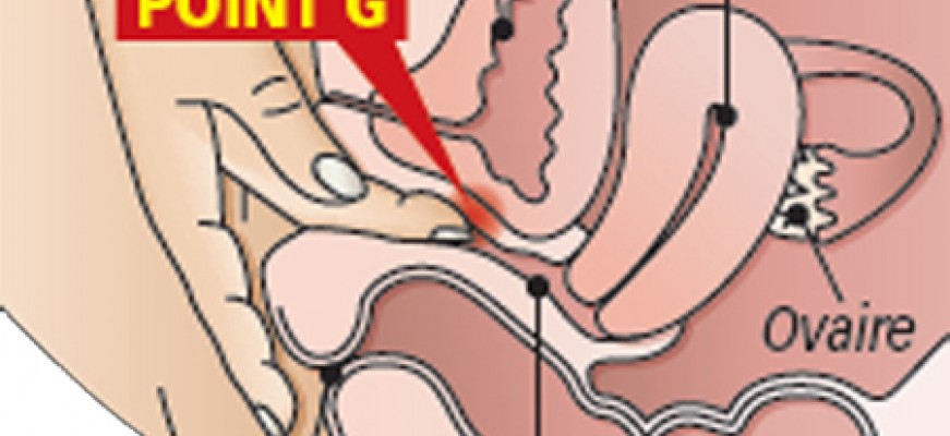 Vì sao không tìm được cực khoái trong tình dục ?