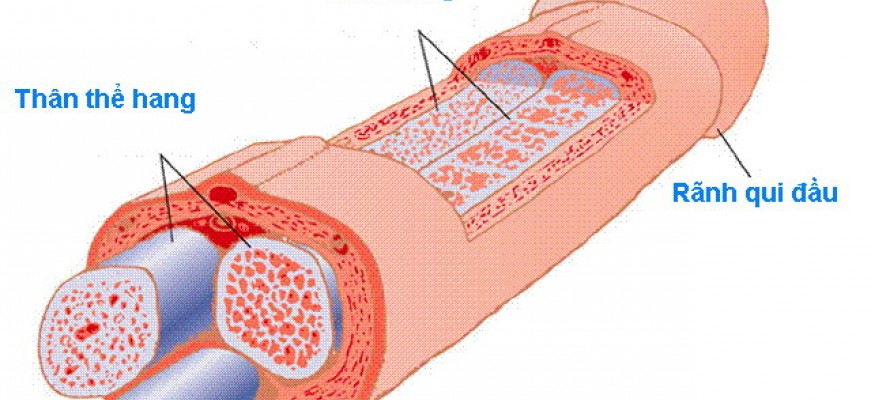 Liệu pháp sóng xung kích điều trị rối loạn cương dương tốt nhất ?
